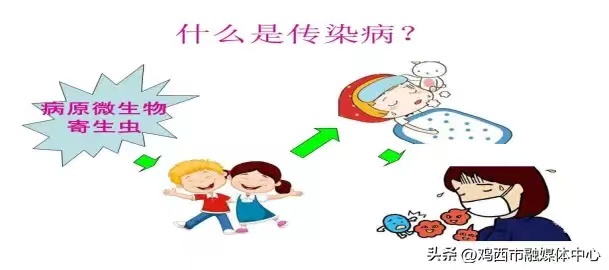 131a72479eb68ba496597dbb8696762